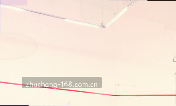 轻拂思想藤蔓共筑绿色花园
